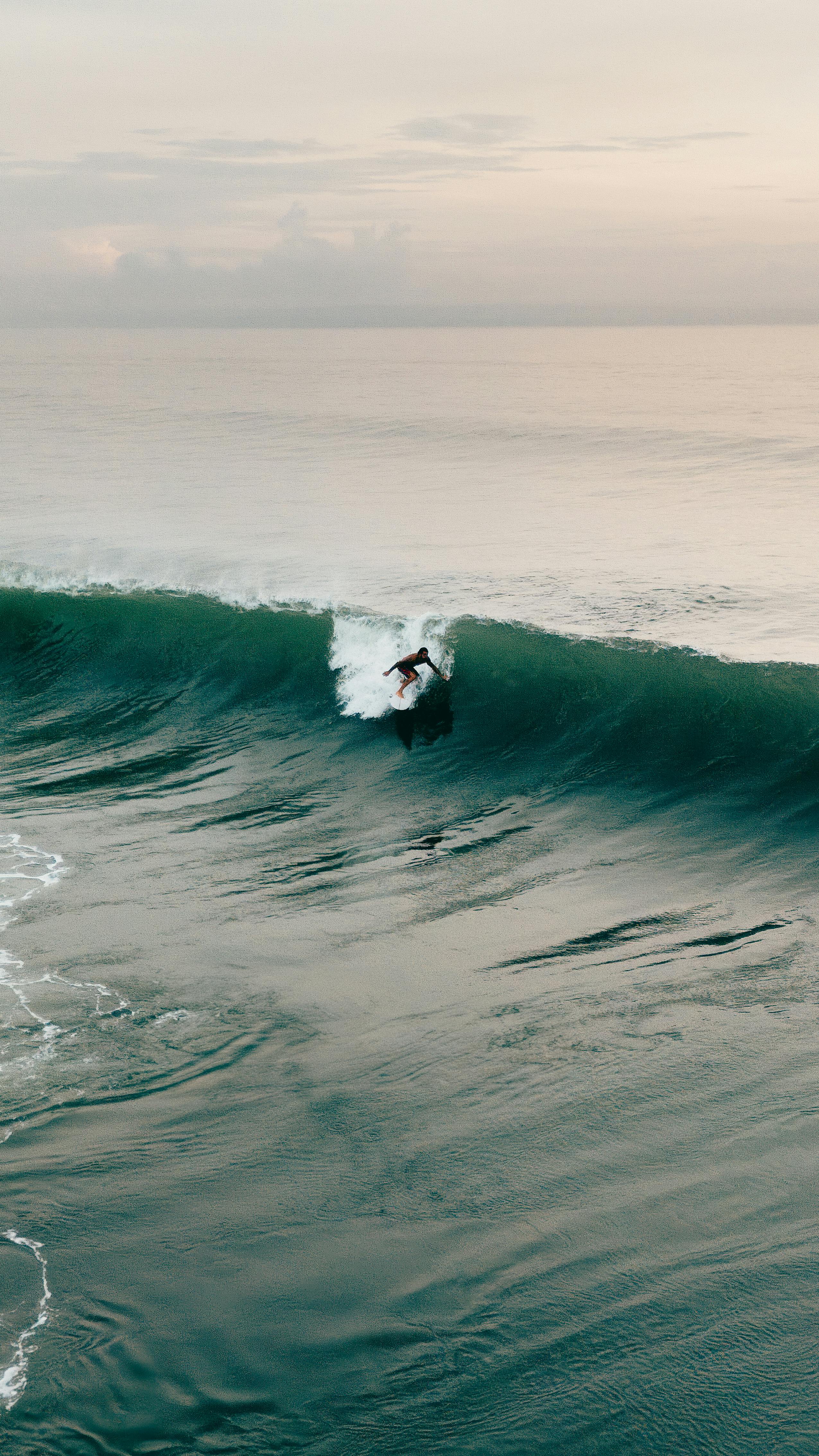 surfing